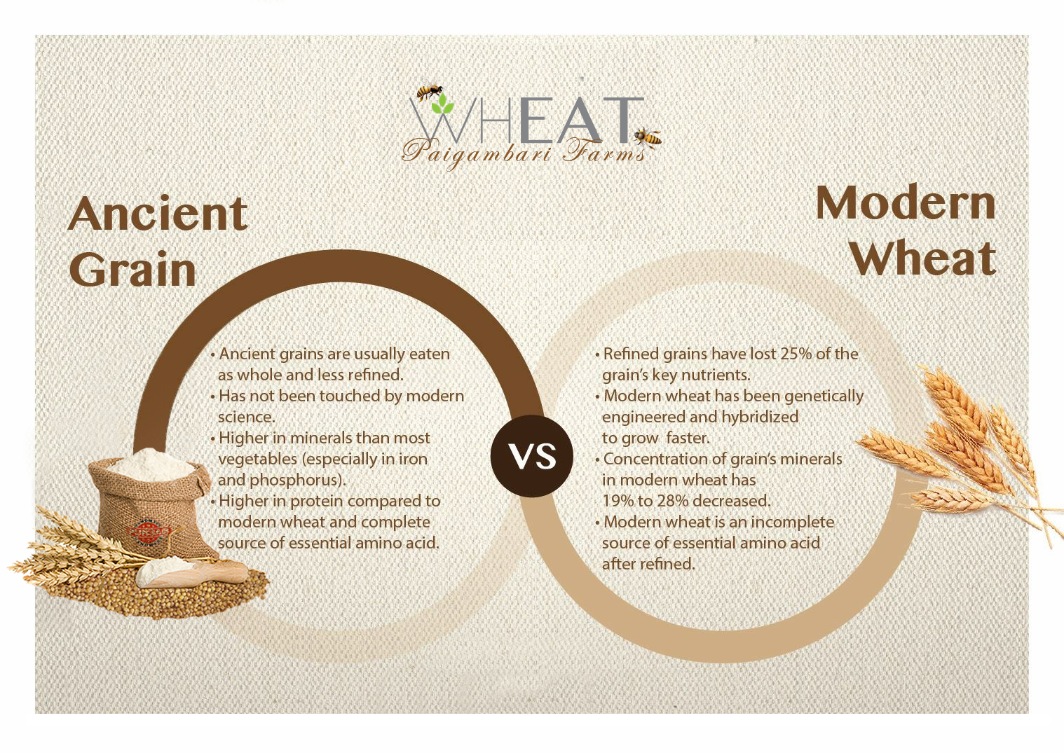 Ancient Grains vs. Modern Wheat: What's the Difference, Immunity Booster Wheat Flour, Sugar Free Wheat, Gluten Sensitivity, Gluten Free Diet, Wheat allergy, Celiac Disease, Gluten intolerence, Gluten intolerance symptoms, Supports Gut Health and Boost the Immune System