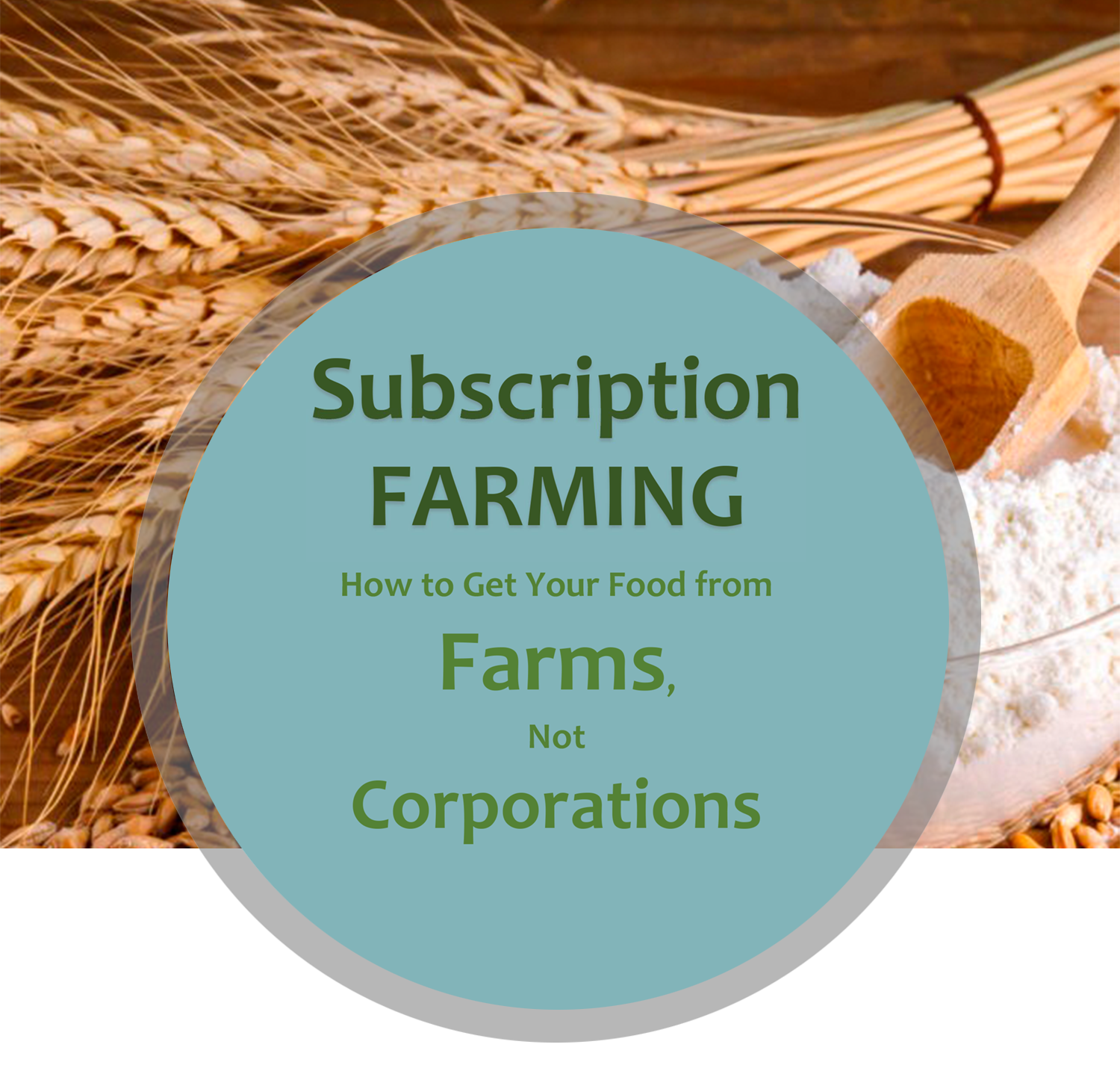 Paigambari Farm is a wheat-oriented subscription-based farming solution to our corrupt and manipulated Farming practices, we are a group of Farm Families working on this model where people can subscribe a agricultural land yearly as per their requirement.
